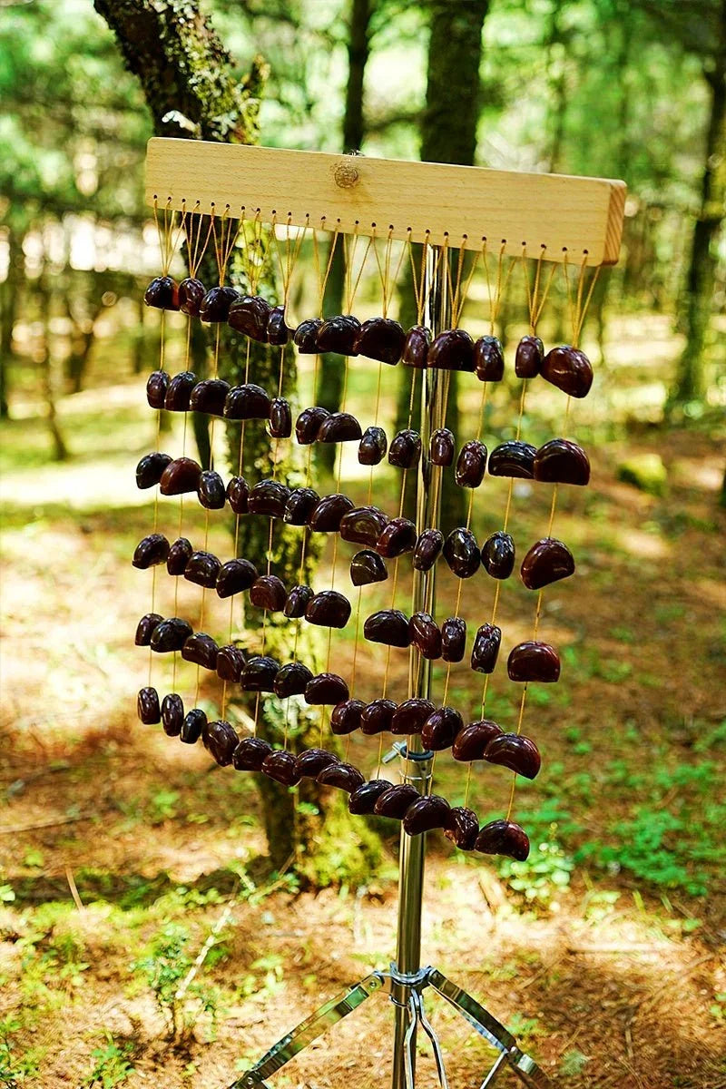 Handmade Juju Seed Shell Bar Chime