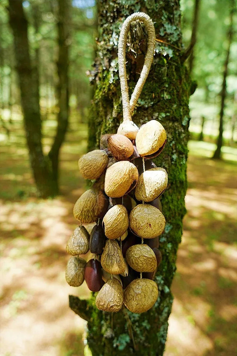 Handmade Mixed Seed Shaker | Hand Bell