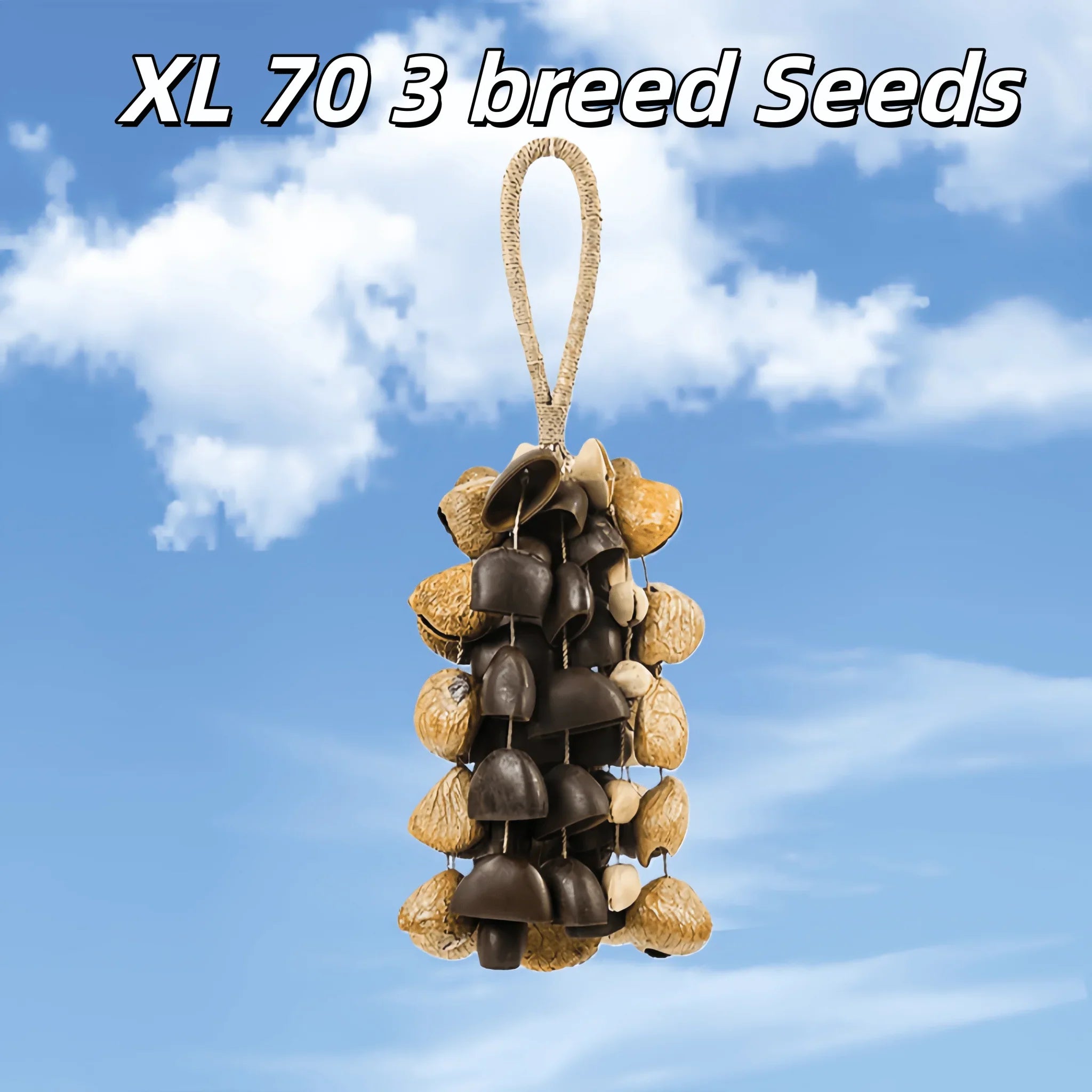Handmade Mixed Seed Shaker | Hand Bell