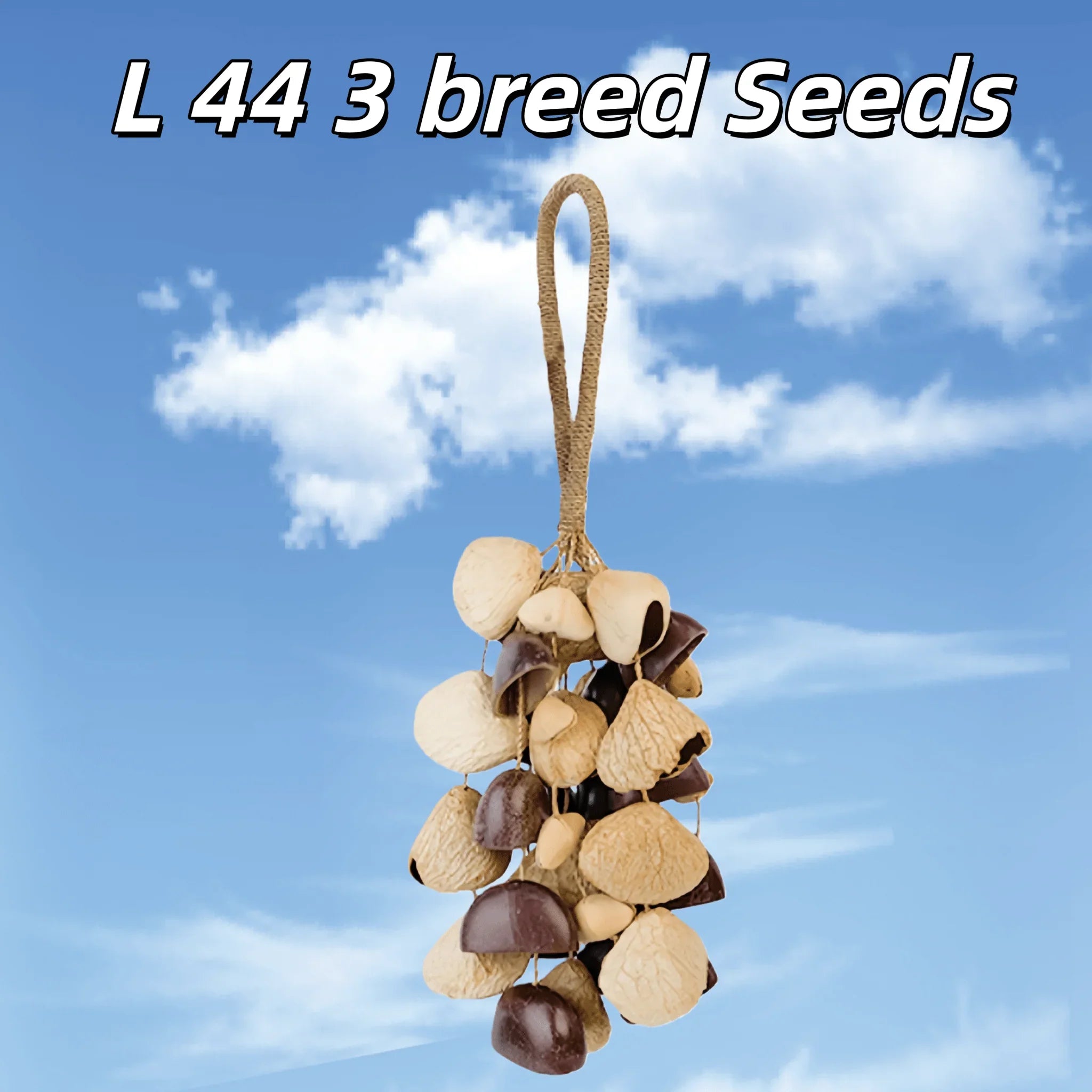 Handmade Mixed Seed Shaker | Hand Bell