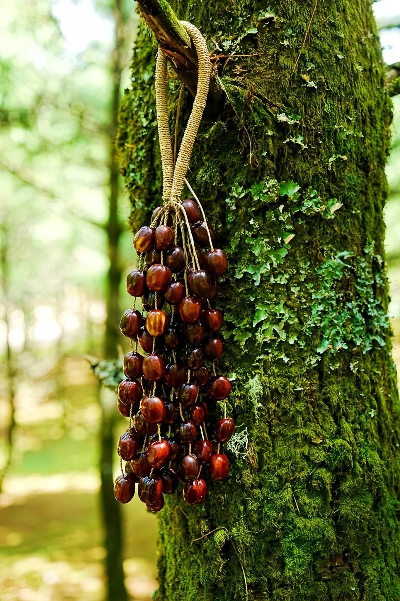 Handmade Pala Seed Seed Shaker | Hand Bell