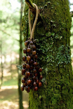 Handmade Pala Seed Seed Shaker | Hand Bell