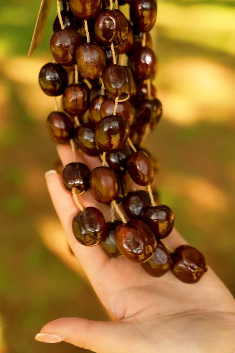 Handmade Pala Seed Seed Shaker | Hand Bell