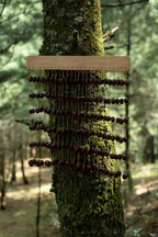 Handmade Pala Seed Shell Bar Chime