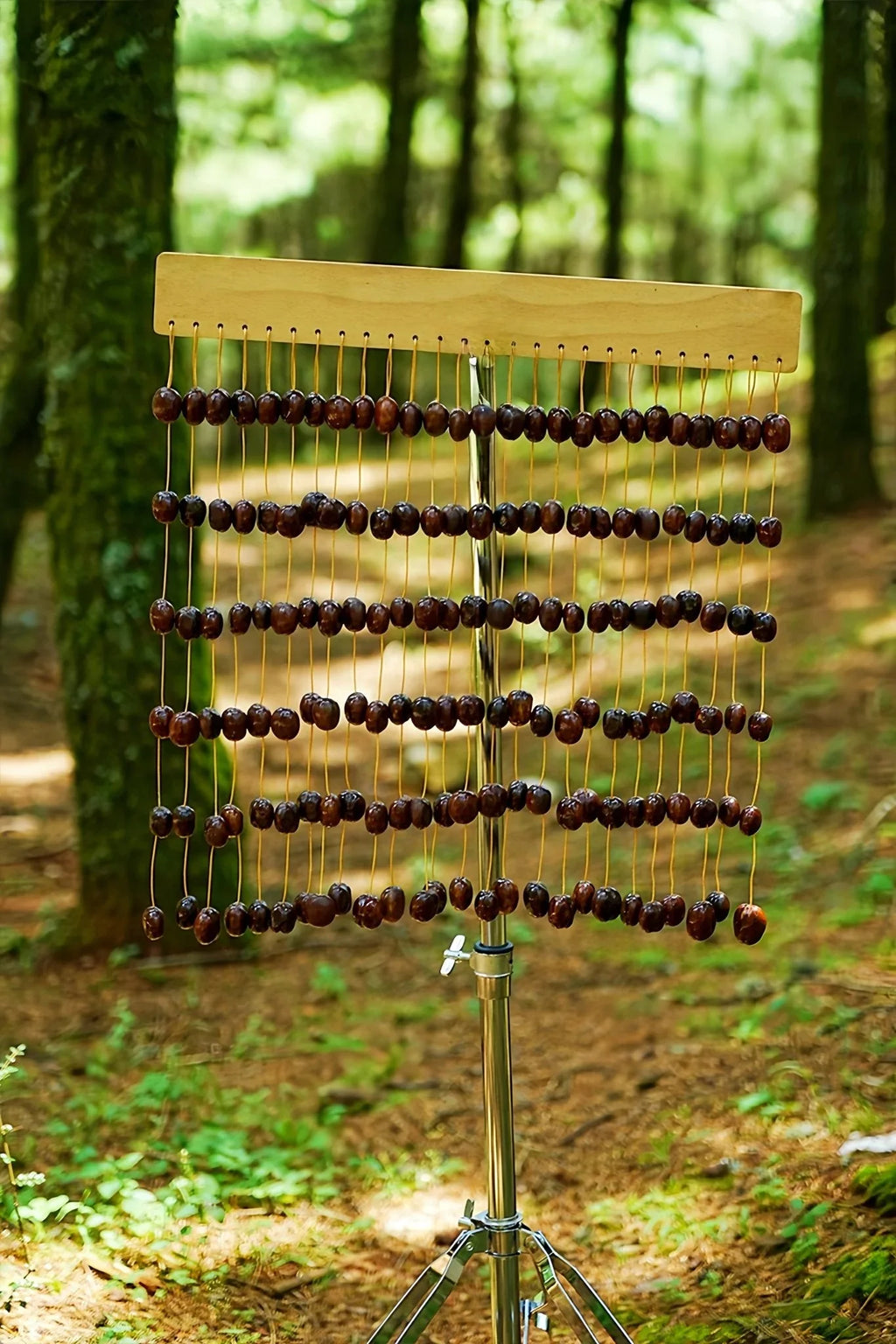 Handmade Pala Seed Shell Bar Chime