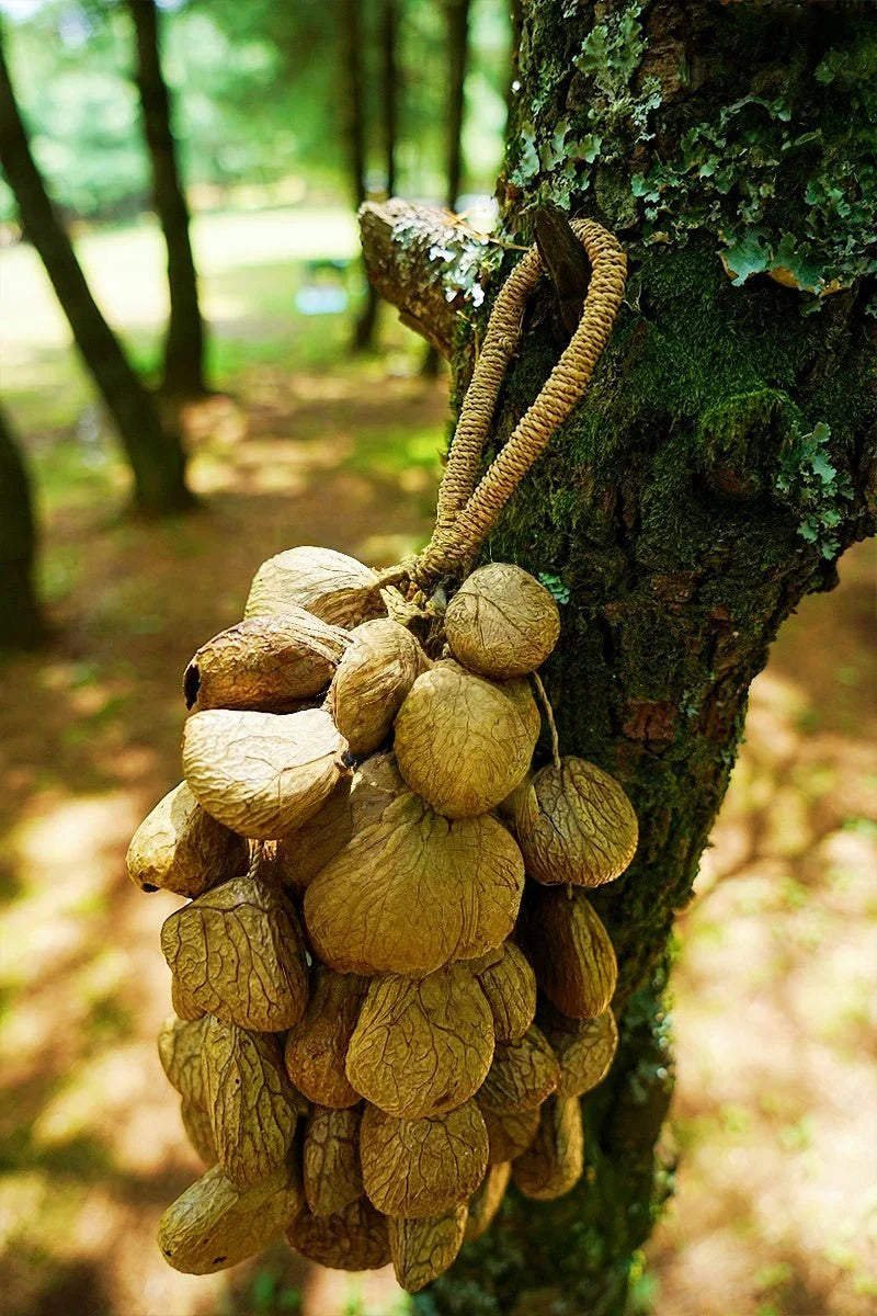 Handmade Panji Seed Shaker | Hand Bell