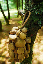 Handmade Panji Seed Shaker | Hand Bell