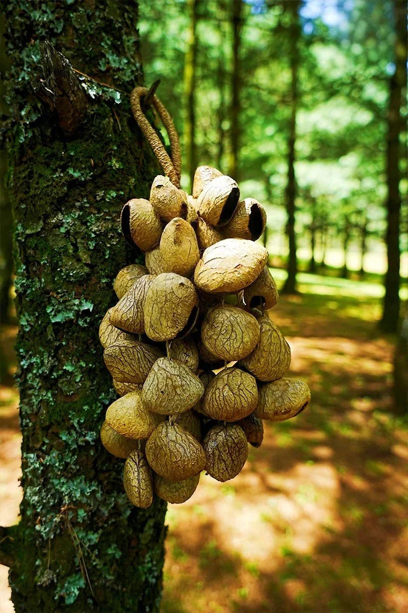 Handmade Panji Seed Shaker | Hand Bell