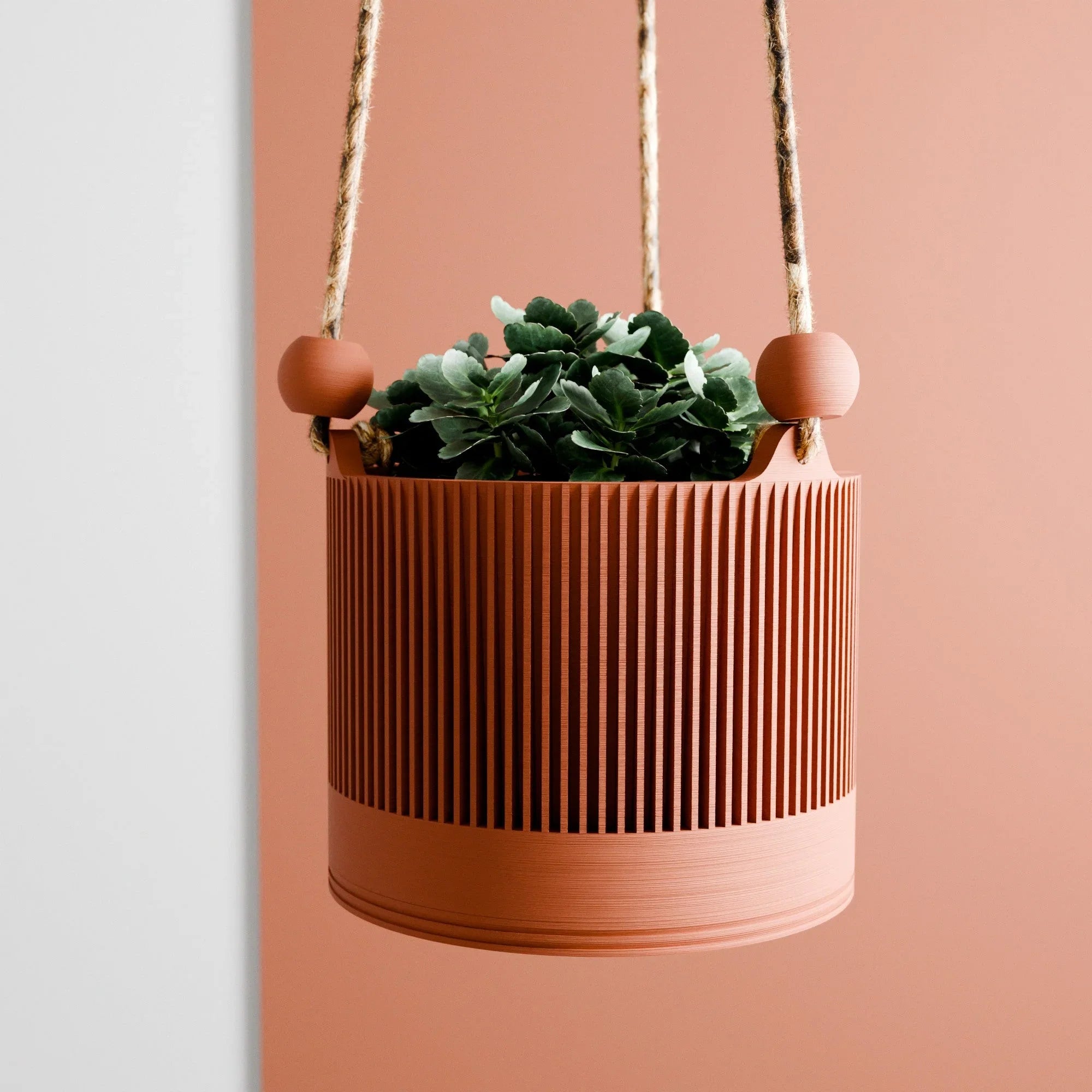 White ceramic hanging planter with sakura design, wooden hanger - House of Avana