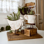 Indoor/Outdoor Distressed Hen Planter, Choose Your Style Decor Steals