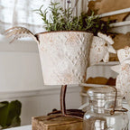 Indoor/Outdoor Distressed Hen Planter, Choose Your Style Decor Steals