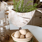 Indoor/Outdoor Distressed Hen Planter, Choose Your Style Decor Steals
