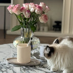 Bohemian Style Pen Holder with Stone Pattern, Multi-functional Desktop Organizer for Office Desk, Cute... - House Of Avana