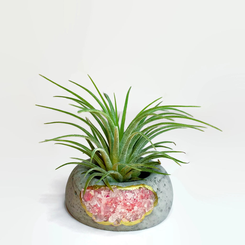 Amazonite Crystal Geode Air Plant Holder Natural Stone Planter, top view - House Of Avana