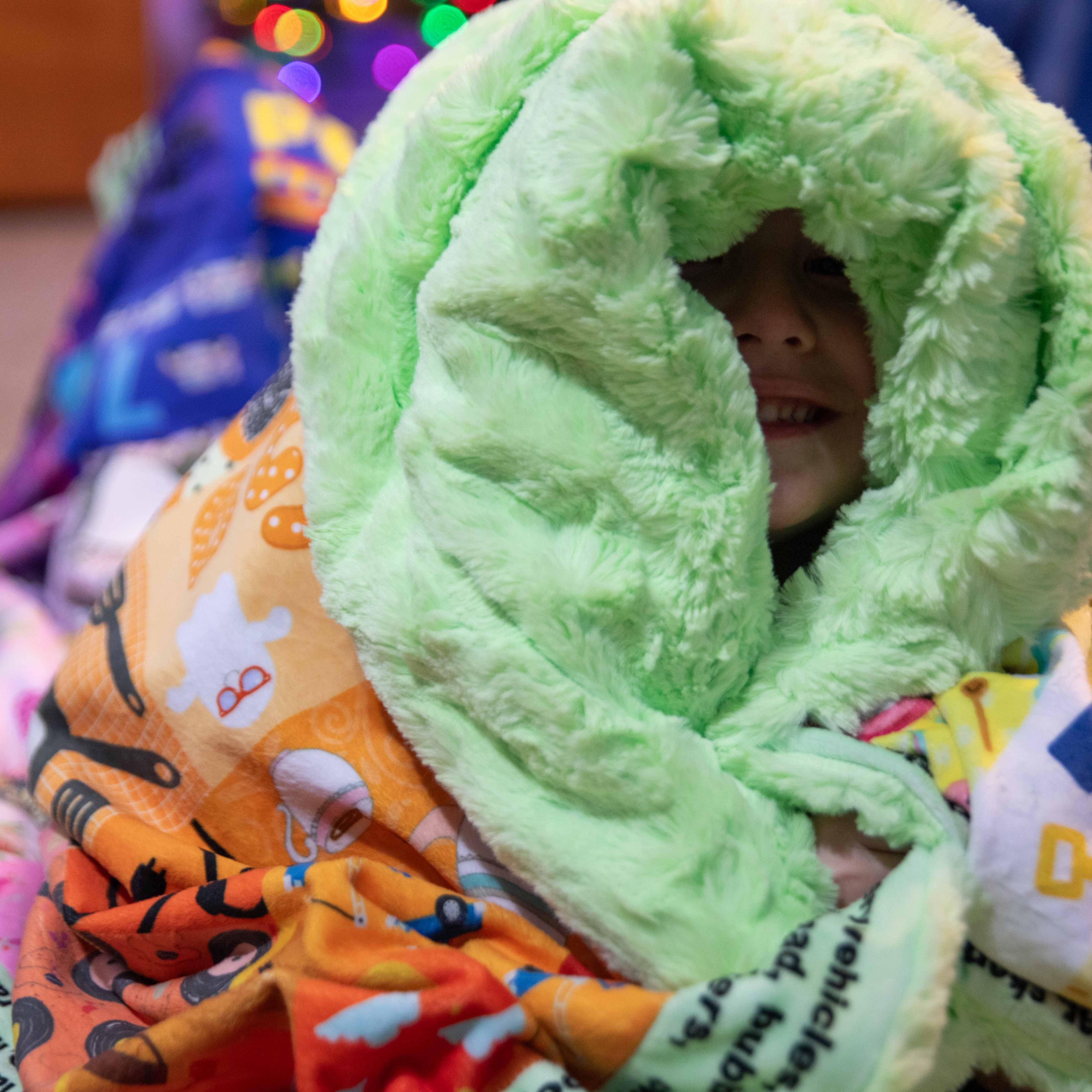 ABC Hidden Pictures Minky Quilt Panel Block Party Quilt Co