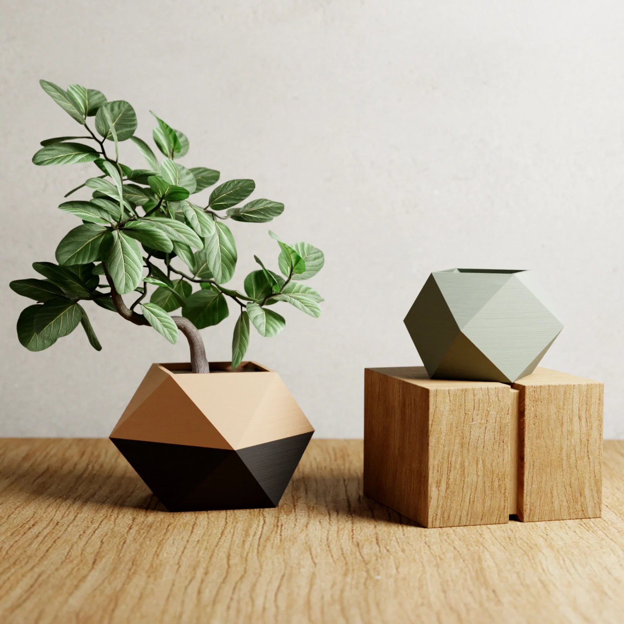 Ico Planter, top view - House Of Avana