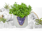 3" Geode Planter AURA 8 HOME