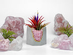 ROSE QUARTZ CANDLE HOLDER AURA 8 HOME