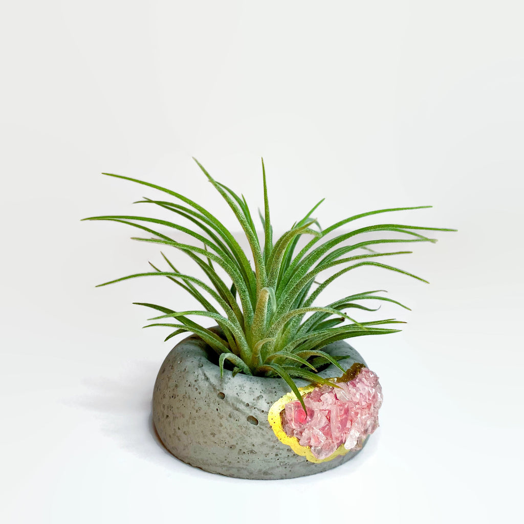 Geode Air Plant Holder -Rose Quartz Crystal Planter AURA 8 HOME