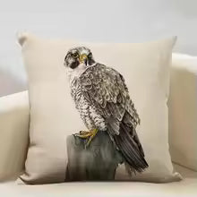 Watercolor Owl Print Cushion Cover House Of Avana