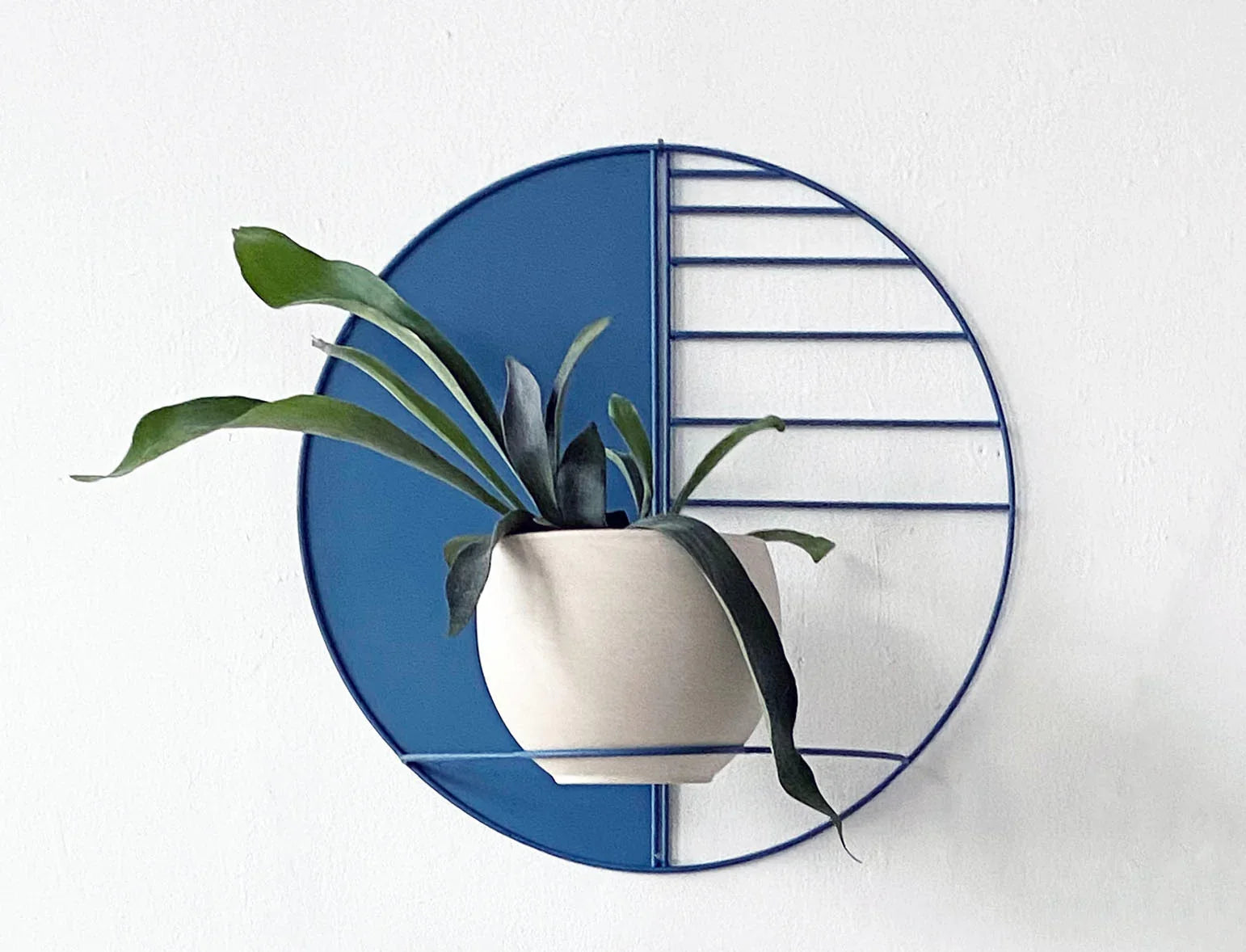 Sunset Circle Wall Planter WILDEHAUS