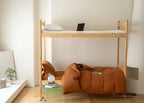 Jersey Knit Boho Twin Dorm Bedding Set / Burnt Orange Ever Lasting
