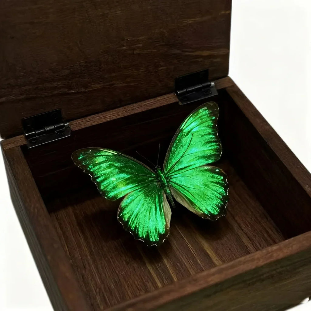 Jewelry Box - Portable Wood Small