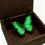Jewelry Box - Portable Wood Small