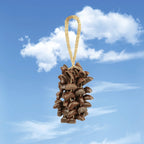 Juju Duckfoot Vine Seed Shaker | Hand Bell
