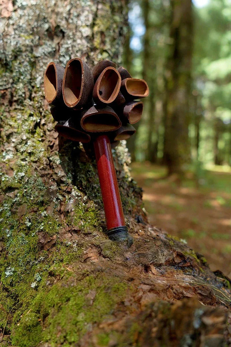 Juju Seed Pod Wooden Handle Shaker