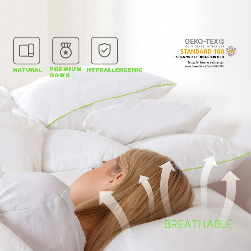 Kasentex Silky Green Piped Edge Goose Down Feather Pillow Set, White