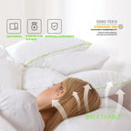 Kasentex Silky Green Piped Edge Goose Down Feather Pillow Set, White