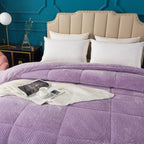 Kasentex Ultra Soft All Season Reversible Plush Sherpa Lined Comforter, Twin, Queen, King