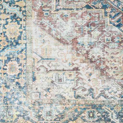 Blue Catigpian Distressed Washable Area Rug Hauteloom
