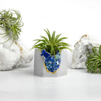 Lapis Lazuli Geode Planter Natural Stone Blue Home Decor Accent, back view - House Of Avana