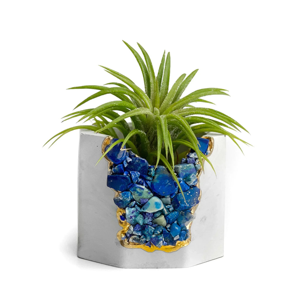 Lapis Lazuli Geode Planter Natural Stone Blue Home Decor Accent, side view - House Of Avana