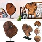 Large Vintage Tree Stump Sculpture - Realistic Bark Texture Tabletop or Wall-Mounted Decor, Durable Plastic Wood-like Collectible for Home Office Wedding Decoration, Rustic Farmhouse Decorative Accent (Over 10.23"x11.02"x1.57 House Of Avana