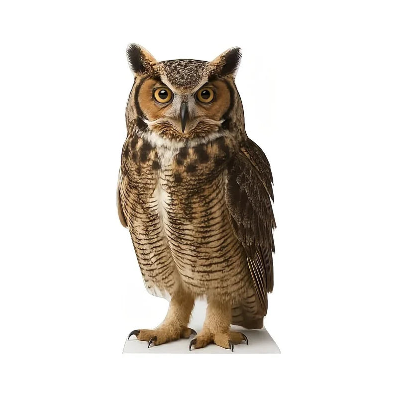 Realistic life-size owl cardboard cutout standup for party photo booths and home decor.