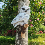 Lifelike Owl Statue Wall Decor, Easy Install on Trees & Walls, Realistic Animal Theme for Home & Garden, Perfect Gift for Bird Lovers, House Accent, Birthdays, Mother'S Day, Father'S Day, Thanksgiving, Valentines-day, Bird De House Of Avana
