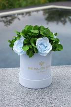 Light blue suede garden box with roses, soft fabric exterior - House of Avana