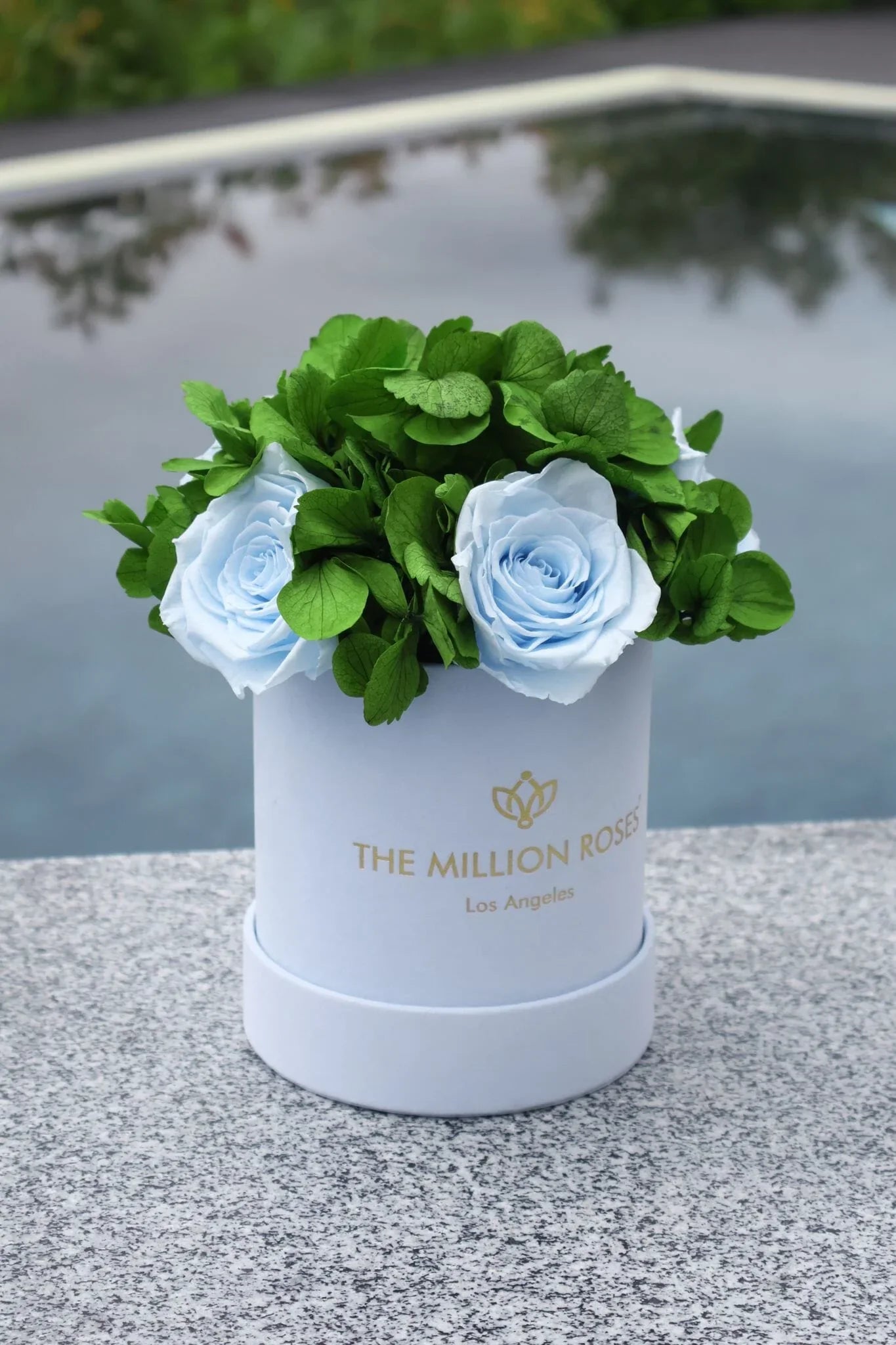 Light blue suede garden box with roses, soft fabric exterior - House of Avana