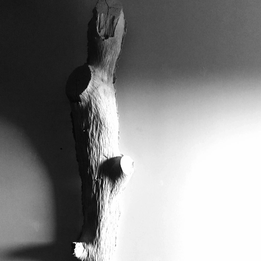 Light Weight Concrete Tree