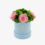 Basic Light Blue Suede Garden Box | Light Pink Roses The Million Roses