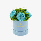 Basic Light Blue Suede Garden Box | Turquoise Roses The Million Roses