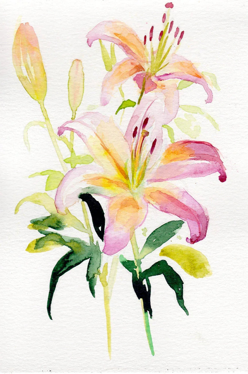 Lily – May Birth Flower Art Print
