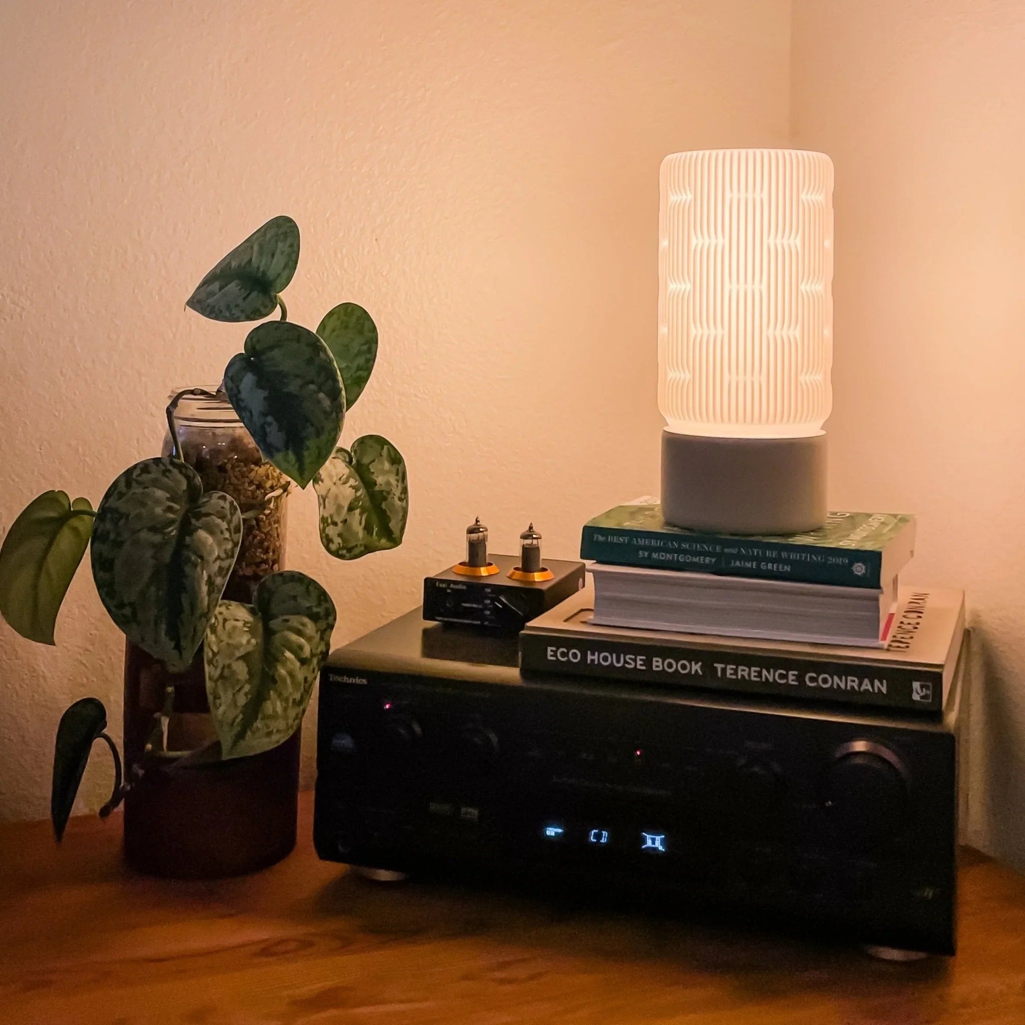 Liunk Table Lamp
