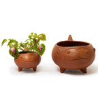 Los Peces Planters