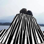 Zebra Stripes Nap Blanket for Sofas Custom Blankets and Throws Fluffy Plaid Microfiber Bedding Home Interior Bed Throw Knee Soft - House Of Avana