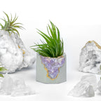 Madagascar AMETHYST GEODE PLANTER AURA 8 HOME