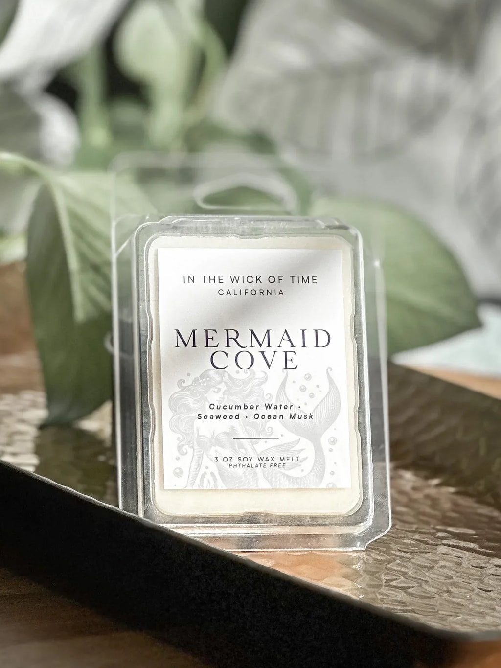 Mermaid Cove Wax Melt In the Wick of Time